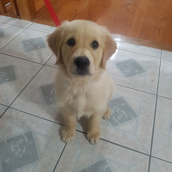 Meet your Posher, Jaswinder - Picture 1 of 1